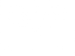 Pro Tenis Club – Antrenor tenis Bucuresti